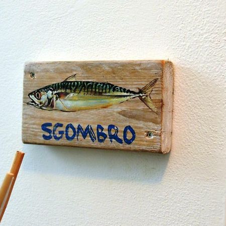 La Sciabbega B&B Porto Recanati Exteriér fotografie